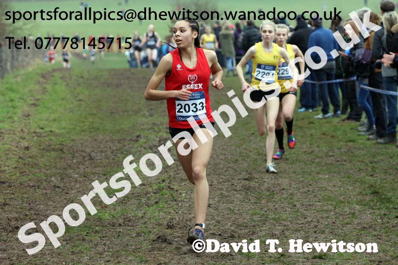 Womens under-17s Inter Counties Cross Country, Prestwold Hall, Loughborough. Photo: David T. Hewitson/Sports for All Pics